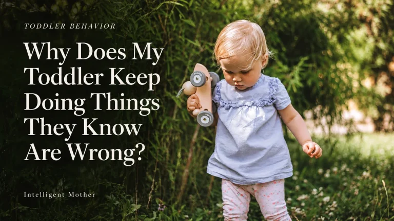 Why Does My Toddler Keep Doing Things They Know Are Wrong?